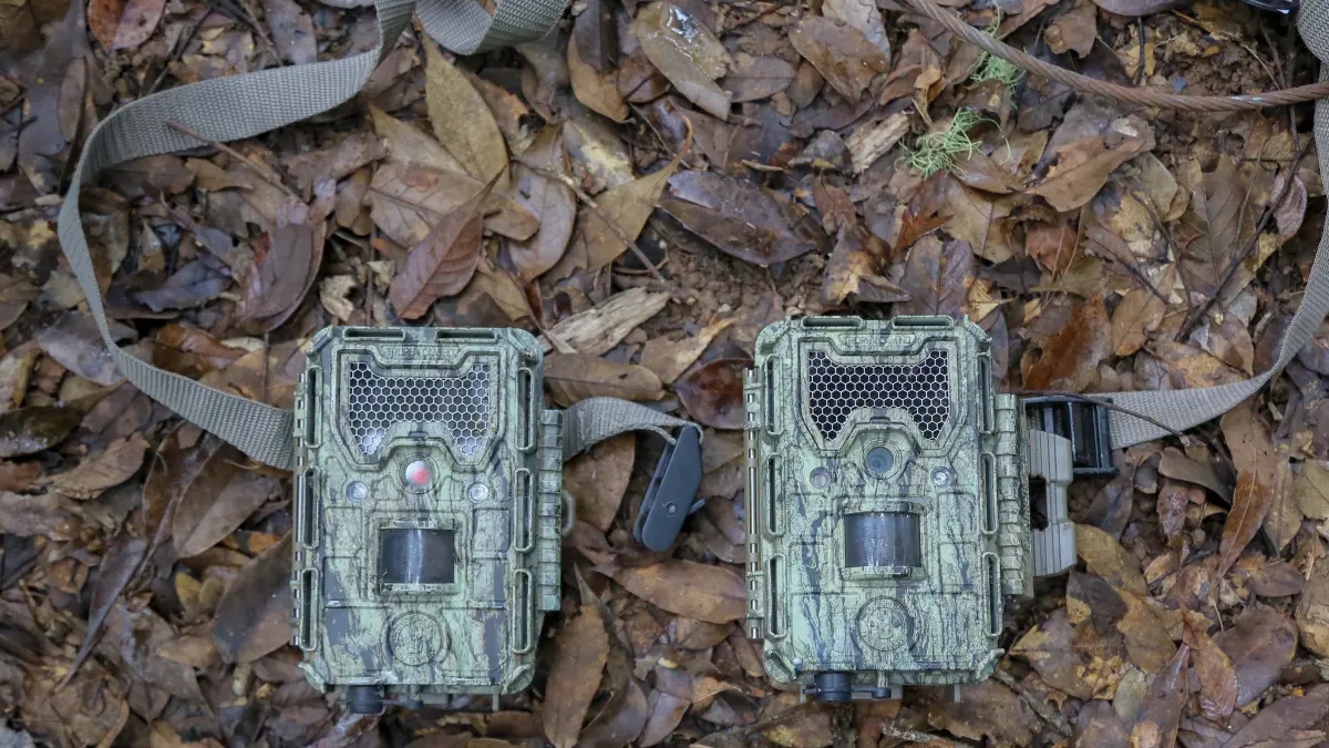 Sepasang kamera trap untuk pemantau di hutan Pegunungan Muria, Desa Colo, Kudus, Jawa Tengah, Sabtu (24/5/2026).