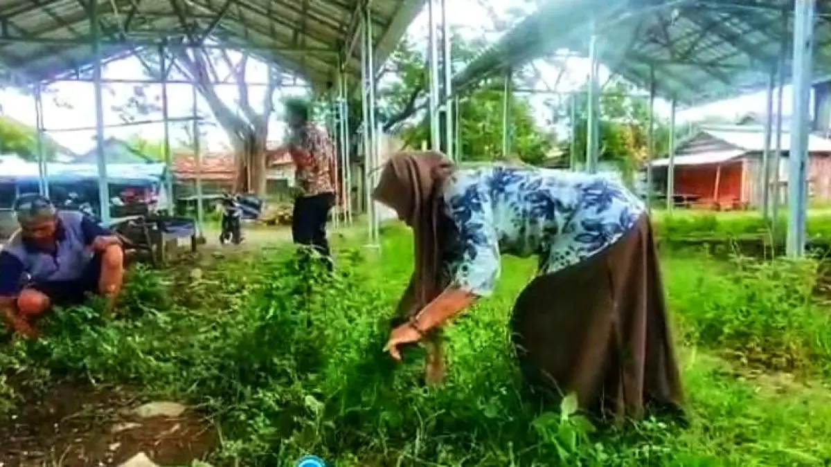 BIDANG PASAR UNTUK RADAR KUDUS

KERJA BAKTI: Petugas pasar Rembang kerja bakti membersihkan los relokasi yang mengkrak&nbsp; agar tidak terkesan mangkrak kemarin sore.