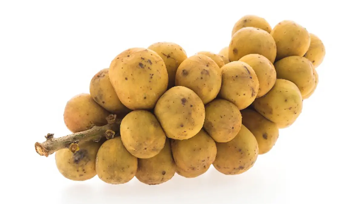 Buah Duku. (freepik.com)