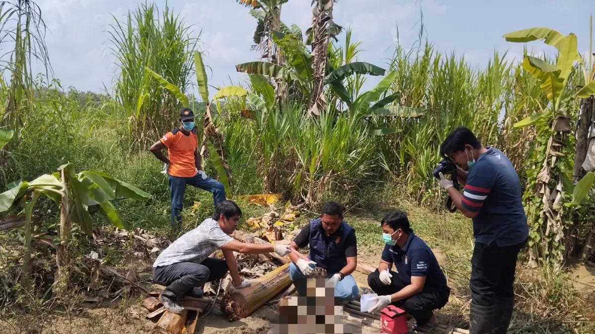 OLAH TKP: Tim Inafis Polres Grobogan saat melakukan evakuasi korban.