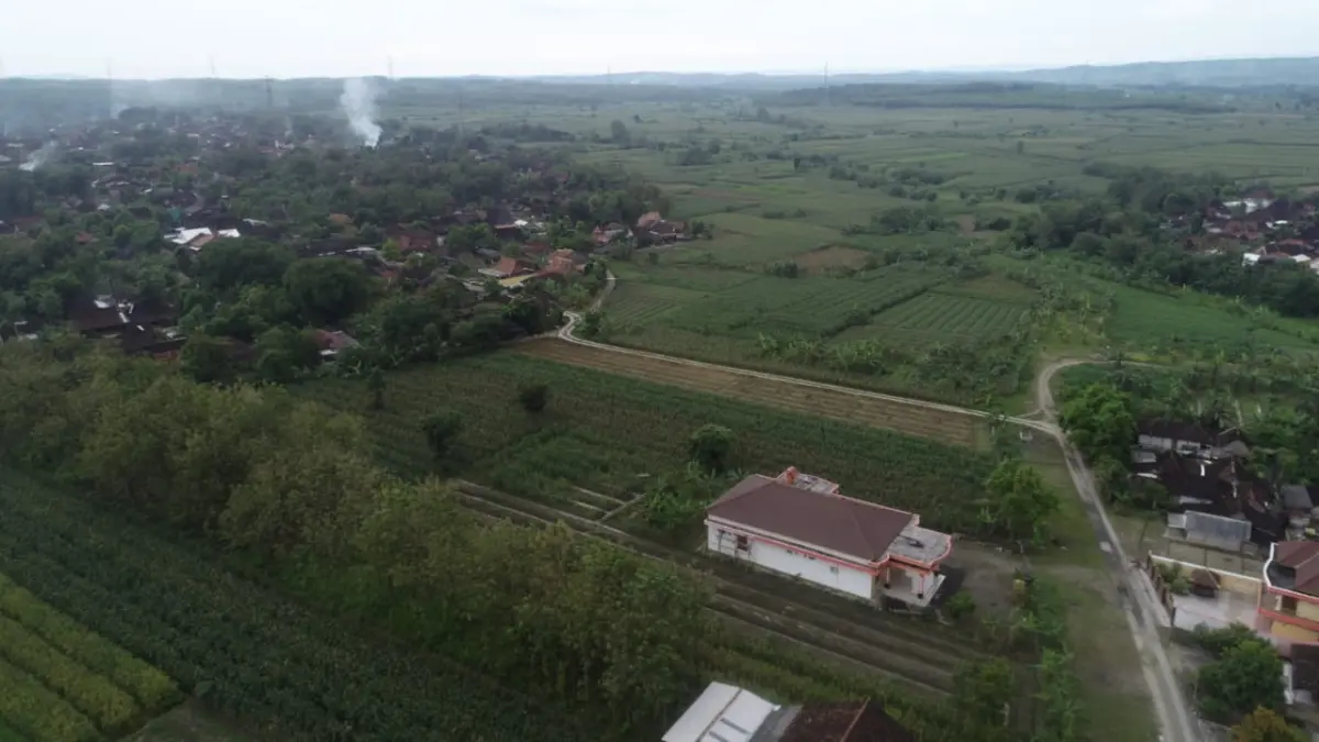 LAHAN: Hamparan lahan di Kabupaten Grobogan yang masuk LBS.