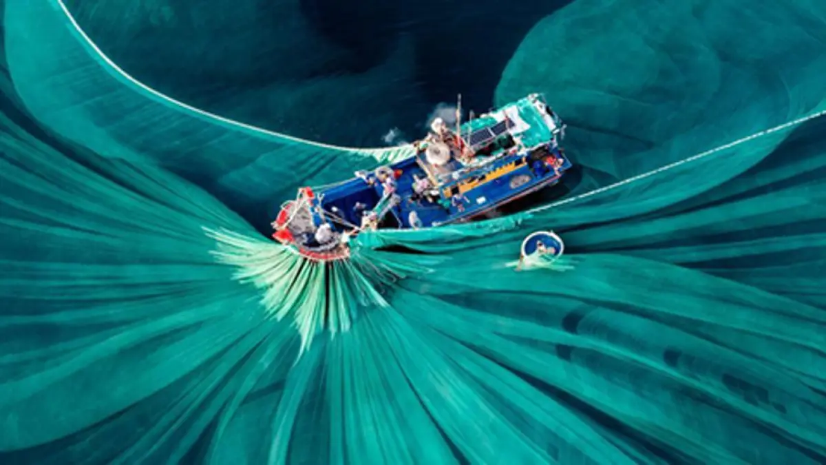 “Silk of the Sea” karya Cao Thi Ngoc Diem, finalis The Pano Awards Southeast Asia Open Photographer of the Year 2025, yang mengabadikan proses pencucian kain sutra di Phu Yen Vietnam.