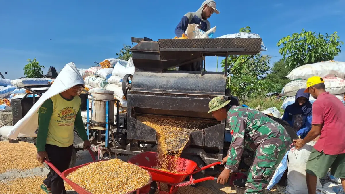 &nbsp;Sisi humanis TNI anggota Satgas TMMD Kodim Pati membantu warga Desa Godo Winong di penggilingan jagung. (ACHMAD ULIL ALBAB/RADAR KUDUS) 
