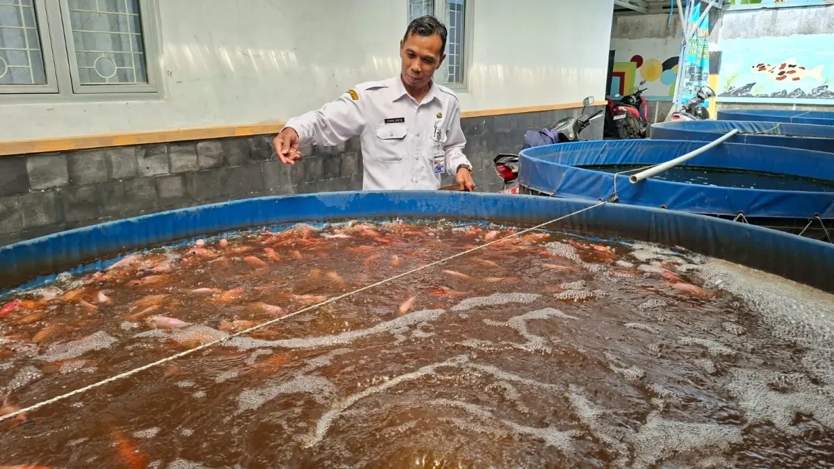 
CONTOH: Kabid Perikanan Dispertan Kudus, Zainal Arifin menunjukkan pembudidayaan ikan di kolam bundar di Kantor Bidang Perikanan Kudus, Rabu (13/5). (ANDIKA TRISNA SAPUTRA/RADAR KUDUS)
