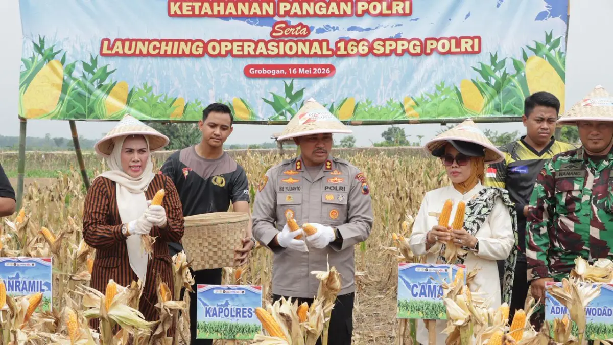 PANEN RAYA – Kapolres Grobogan AKBP Ike Yulianto melakukan panen raya jagung di Desa Karangrejo, Kecamatan Grobogan sebagai dukungan untuk ketahanan pangan. 