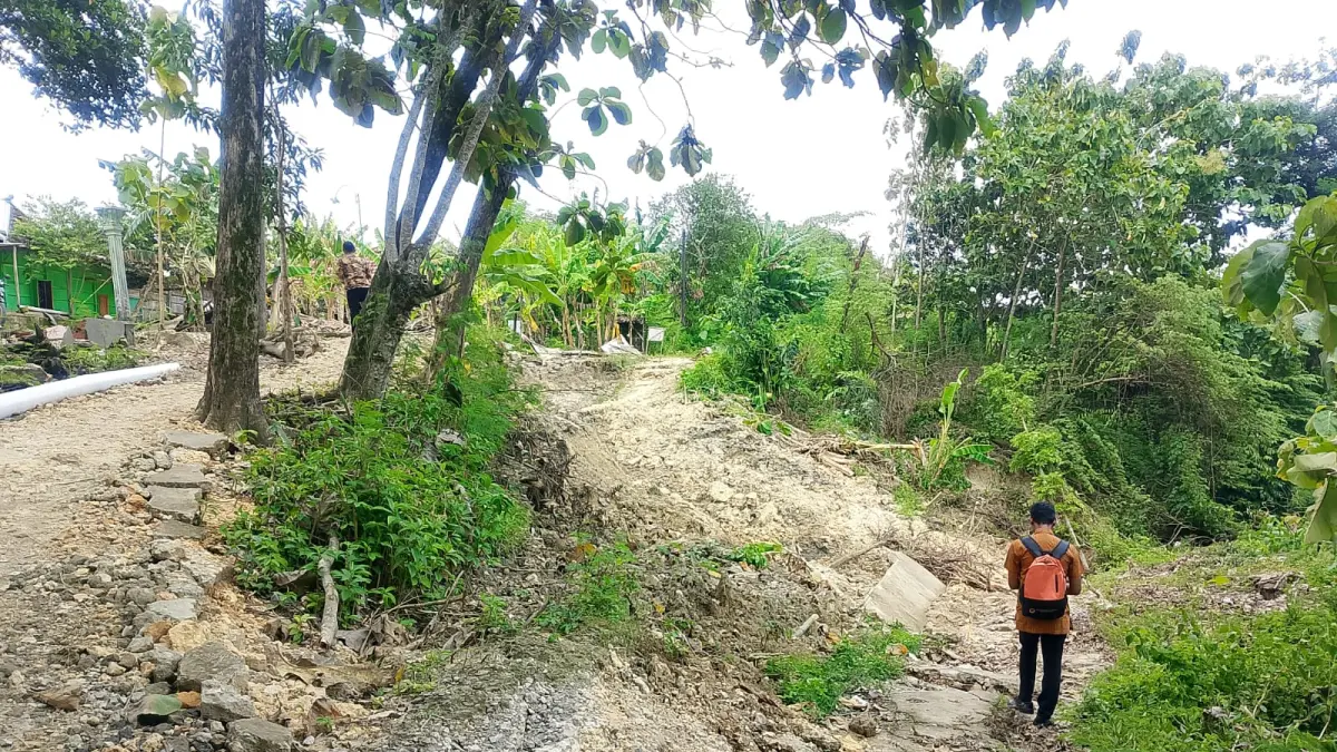 LONGSOR: Tebing Sungai Lusi di Dusun Tanjungsari, Desa Tunjungrejo, Kecamatan Wirosari membuat jalan rusak parah. (BPBD Grobogan untuk Radar Kudus)