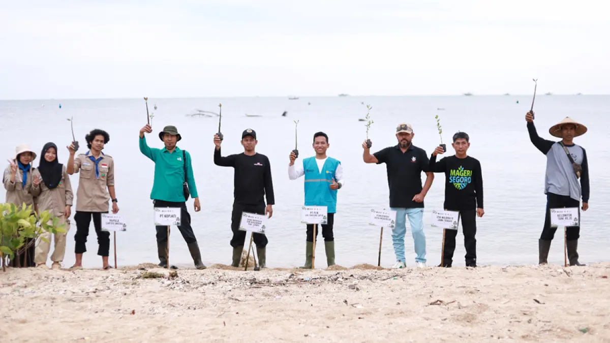 Perwakilan PLN UIK Tanjung Jati B bersama CDK Wilayah II Jawa Tengah, Pemerintah Desa Mororejo, Kelompok Tani Rejo, dan MAPALA Cartens UDINUS Jepara menunjukkan bibit mangrove sebelum penanaman di Pantai Mororejo, Kecamatan Mlonggo, Kabupaten Jepara, Sabtu (17/5). 