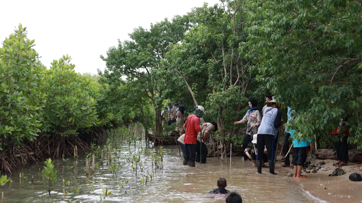 Peserta aksi menanam bibit mangrove di kawasan pesisir Pantai Mororejo, Kecamatan Mlonggo, Kabupaten Jepara, Sabtu (17/5). 