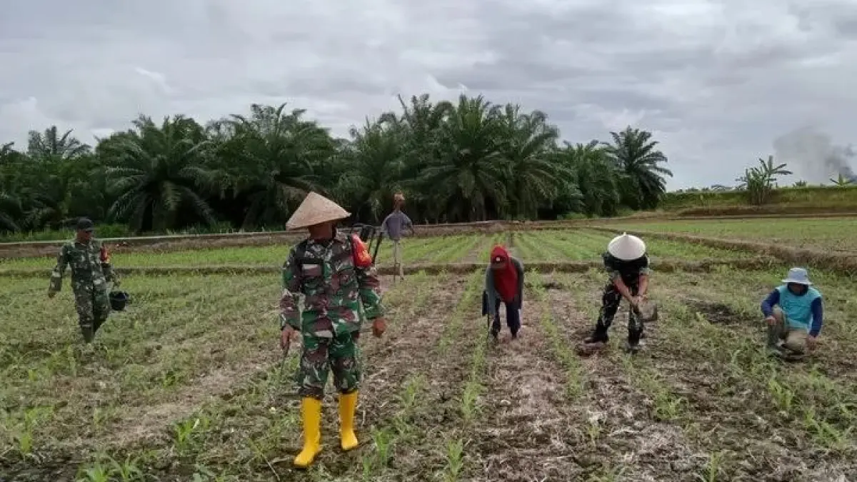 Dukung Swasembada Pangan, Menhan Sjafrie Sjamsoeddin Beri Tugas Baru (@nowdots)