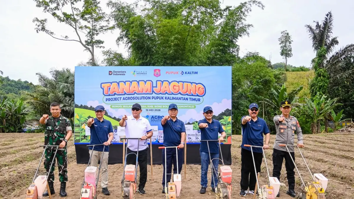Pupuk Kaltim Kembangkan 250 Hektare Jagung di Bone Bolango, Petani Dapat Pendampingan Penuh