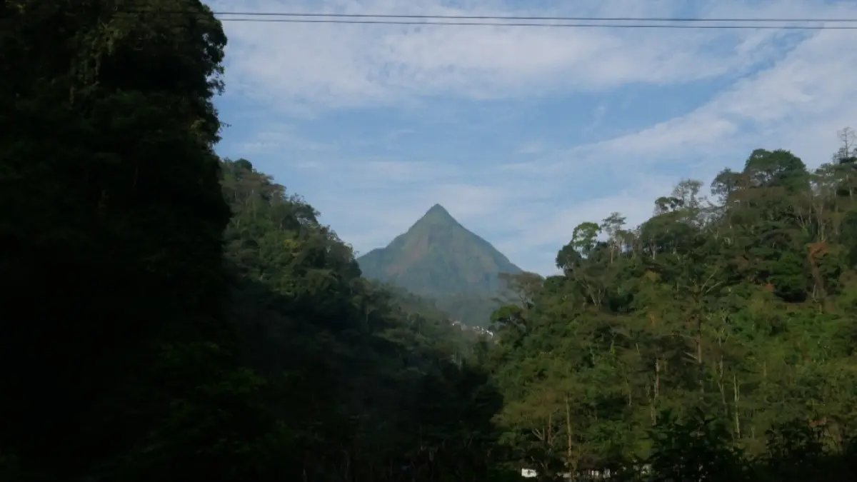 PENGHIJAUAN: Kawasan Muria Raya akan dilakukan konservasi hingga 2033 mendatang.&nbsp;(FIKRI THOHARUDIN/RADAR KUDUS)