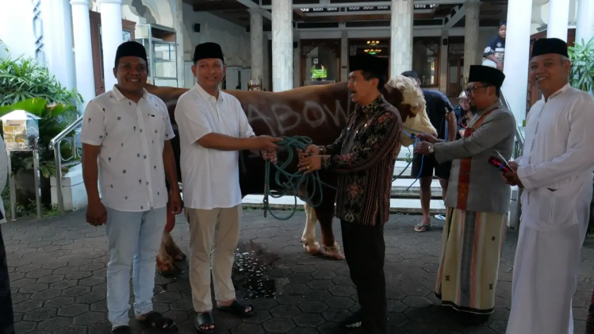 SUPER: Sapi bantuan dari Presiden Prabowo akan dipotong pada Rabu (27/5) usai Salat Iduladha, di kompleks Masjid Agung Baitul Makmur Jepara. (FIKRI THOHARUDIN/RADAR KUDUS)
