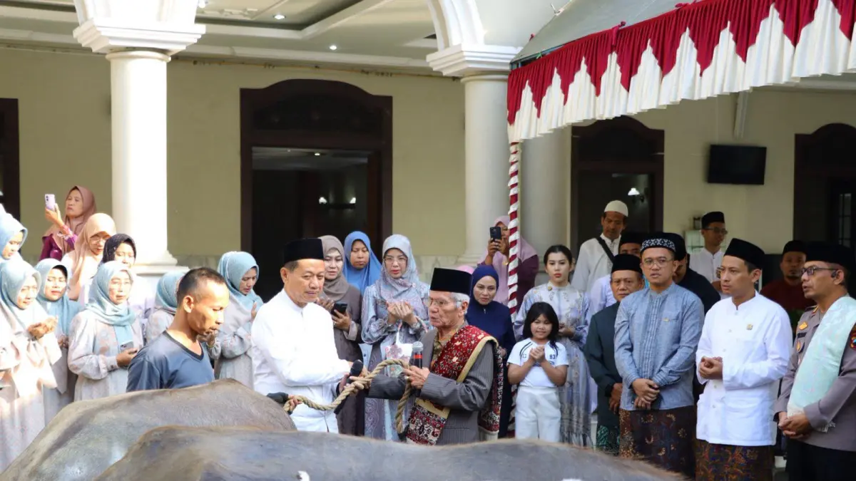 
PENYERAHAN: Bupati Kudus Sam’ani Intakoris dan Wakil Bupati Bellinda Putri Sabrina Birton menyerahkan hewan kurban kepada panitia kurban Masjid Agung Kudus usai pelaksanaan Salat Iduladha, Rabu (27/5).
 (DINAS KOMINFO KUDUS UNTUK RADAR KUDUS)
