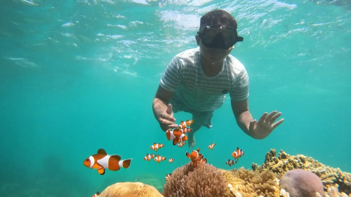 MEMESONA: Wisatawan sedang menikmati terumbu karang dan keindahan bawah laut Karimunjawa.&nbsp;(BUNGA JABE UNTUK RADAR KUDUS)