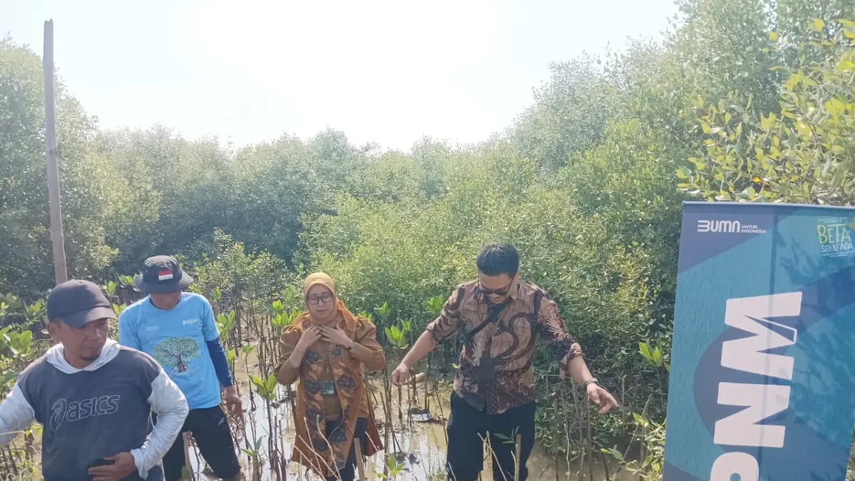 Penanaman bibit oleh PNM Peduli mangrove di Desa Pangkalan, Kecamatan Margoyoso, Kabupaten Pati.