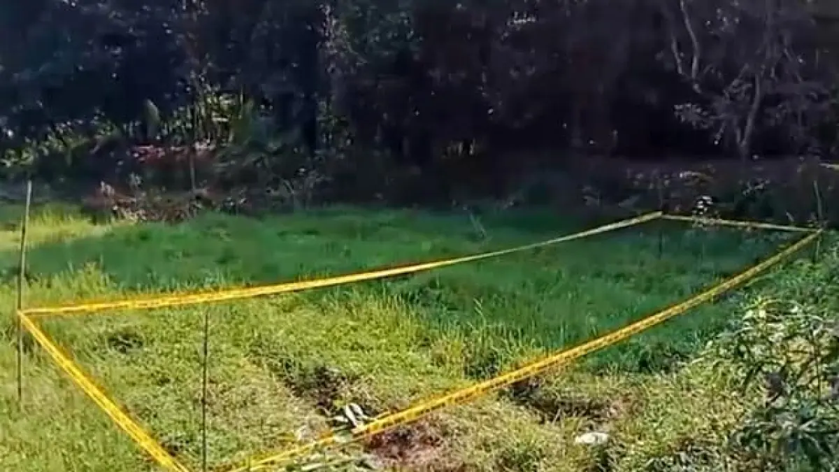 Pemilik Anjing Pemburu Jadi Tersangka Usai Bocah 9 Tahun Tewas Diserang di Bogor (sumber: kumparan)