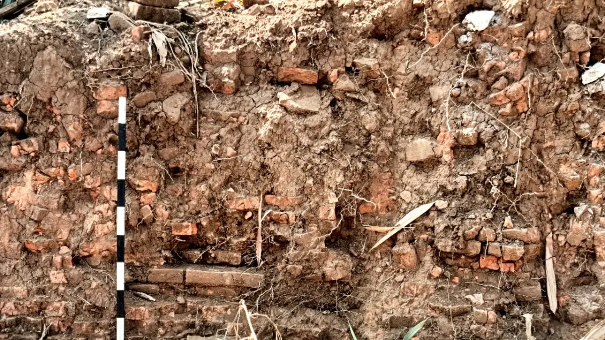 BERSEJARAH: Kondisi ribuan bata, yang diduga sebagai bagian dari benteng Kerajaan Kalinyamat, masih terkubur di Desa Kriyan, Kecamatan Kalinyamatan.