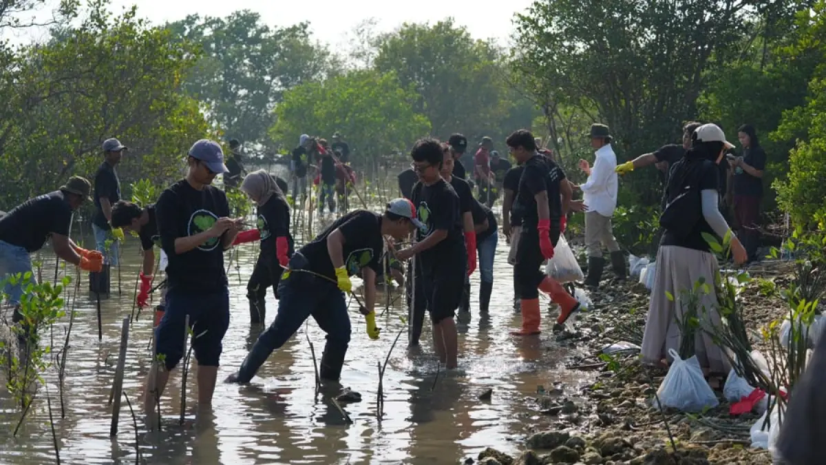 Volunteer pegawai PLN UIK Tanjung Jati B turut menjadi peserta kegiatan menanam bibit mangrove di kawasan Pantai Blebak, Desa Sekuro, Kecamatan Mlonggo, Kabupaten Jepara, Rabu (10/6).