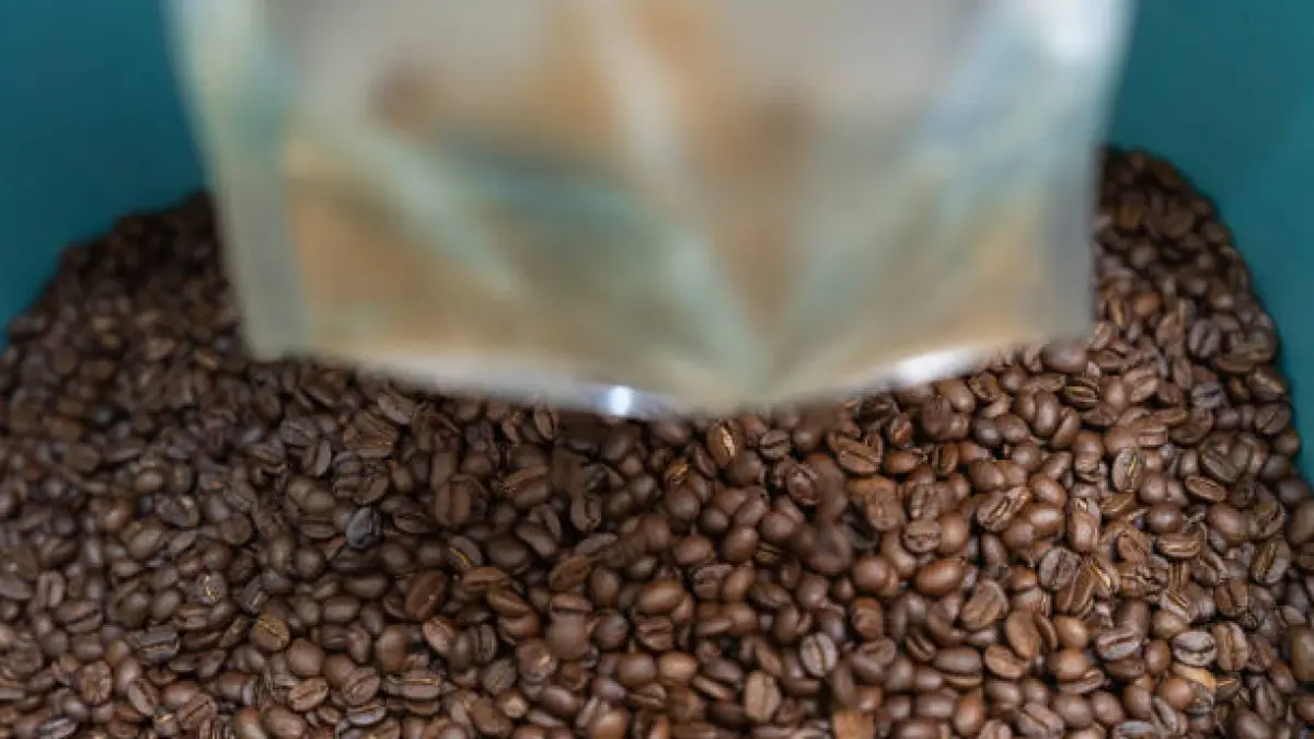 Redam Peredaran Narkotika, BNN Bakal Latih Eks Petani Ganja di Aceh Beralih ke Budidaya Kopi