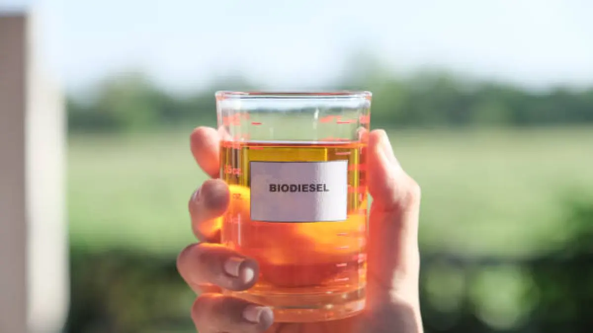 ilustrasi biodiesel