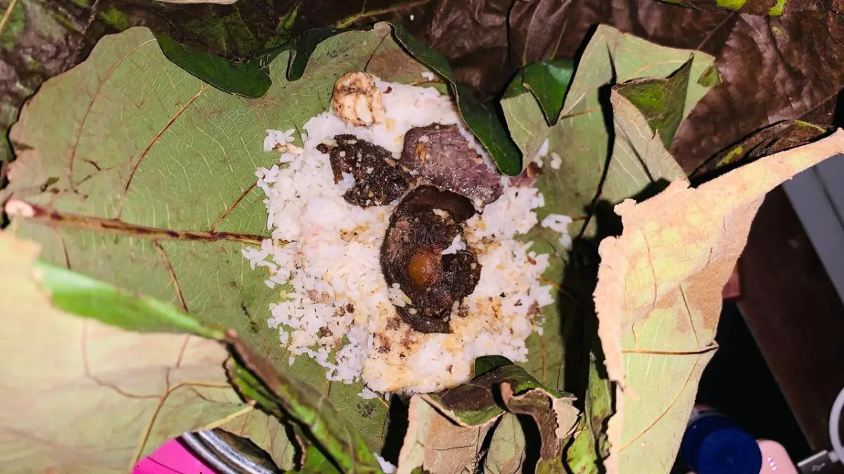 Sajian nasi jangkrik yang menjadi bagian dari tradisi pembagian berkat pada peringatan 10 Suro di Kota Kudus.