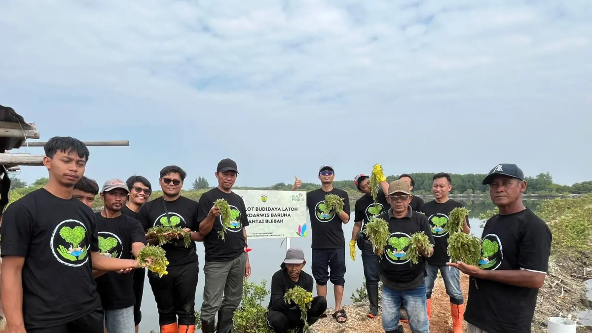 BERMANFAAT BAGI WARGA: Perwakilan pegawai PLN UIK Tanjung Jati B bersama Pokdarwis Baruna Blebak menunjukkan bibit latoh atau anggur laut pada Program Demplot Budidaya Latoh di Pantai Blebak, Desa Sekuro, Kecamatan Mlonggo, Kabupaten Jepara, Rabu (17/6). Program TJSL PLN UIK Tanjung Jati B ini menjadi sarana percontohan budidaya berbasis potensi lokal pesisir yang diharapkan mampu membuka peluang ekonomi baru bagi masyarakat sekaligus mendukung pelestarian ekosistem pantai secara berkelanjutan.
