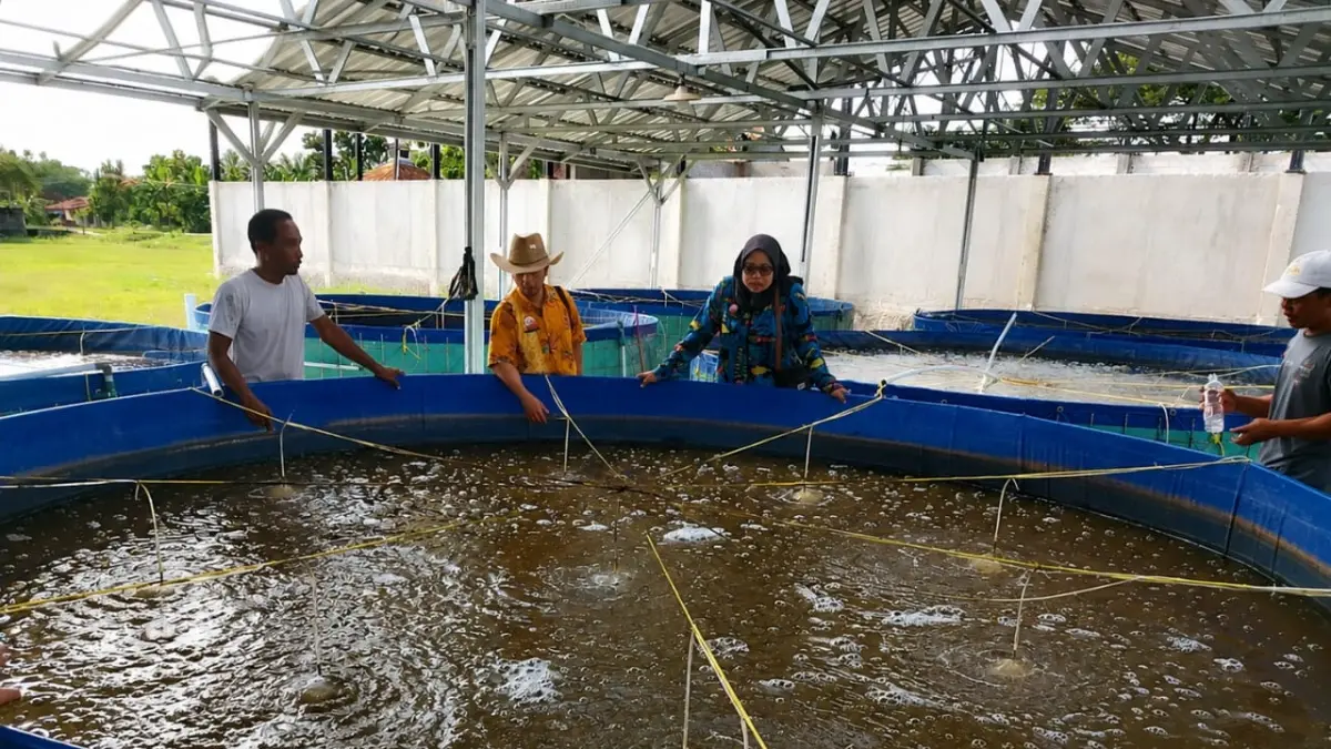 BUDIDAYA: Kolam ikan bioflok bantuan 2025 yang diterima KDMP Kedungrejo Kecamatan Purwodadi.