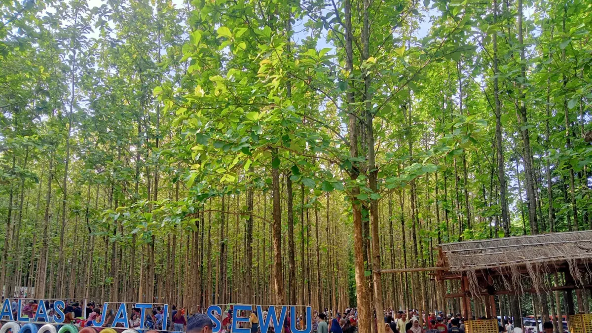 Desa Wisata Wonosoco, Undaan, Kudus