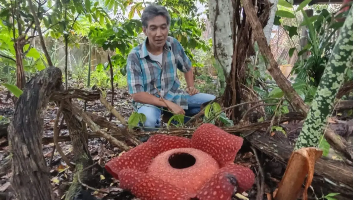 Joni Hartono (Antara)