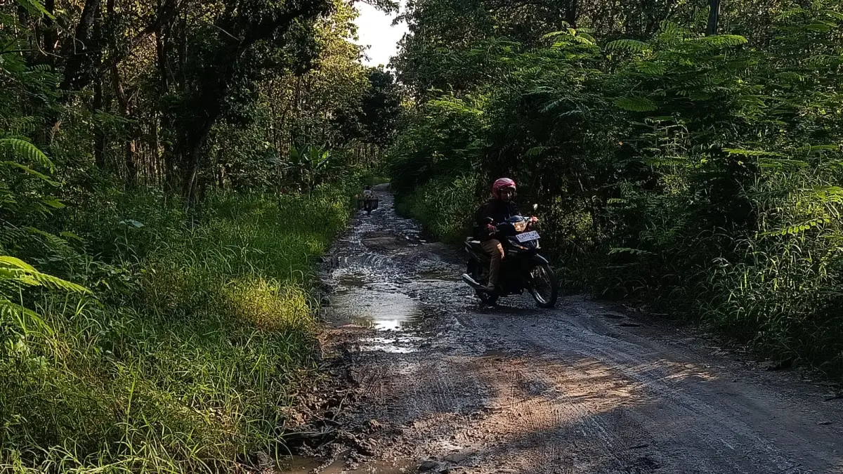 PARAH: Kondisi Jalan Kabupaten Blora, Ruas Balong-Kepoh yang rusak parah. (EKO SANTOSO/RADAR KUDUS)