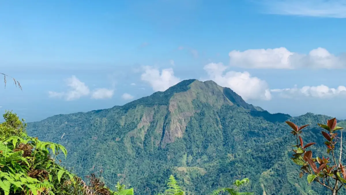 Puncak Gunung Argopiloso di Pegunungan Muria menawarkan panorama alam yang masih asri dengan hamparan hutan lebat dan udara pegunungan yang sejuk. (Ilustrasi)