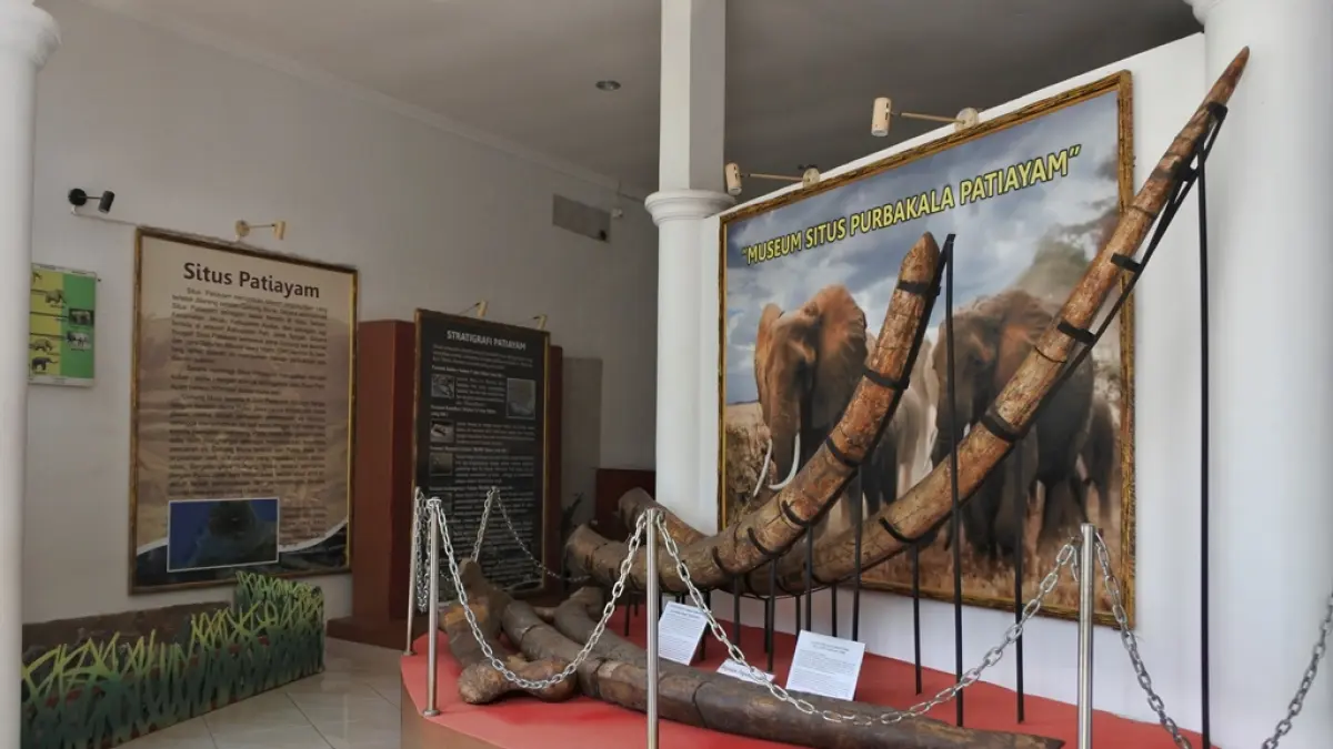 tempat wisata museum purbakala patiayam. (kemuseum.or.id)