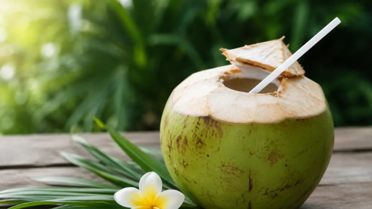 Air kelapa muda kaya elektrolit alami yang membantu menjaga hidrasi tubuh dan mendukung kesehatan jantung jika dikonsumsi secukupnya.