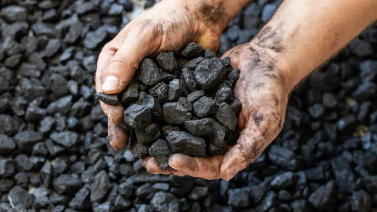 Skandal Mega Korupsi Batu Bara Rp5 Triliun Terbongkar, Diduga Jadi Dalang 