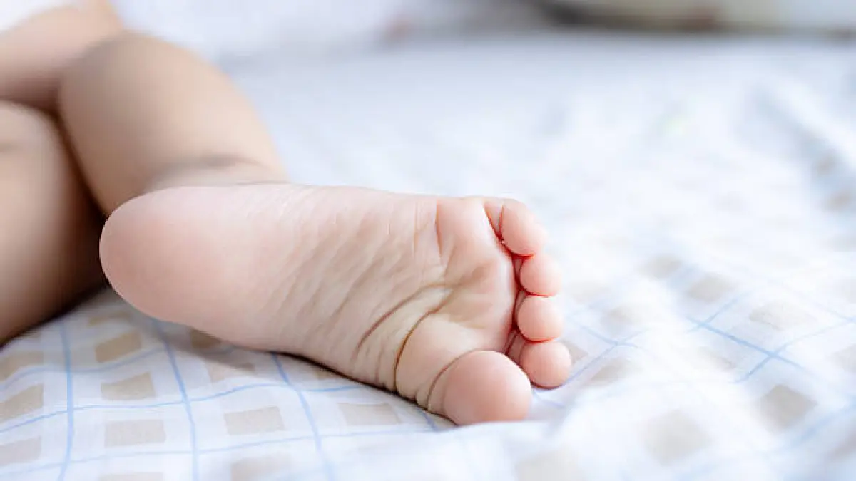Bayi di Wonosobo Diberi Nama "Muhammad MBG Subianto" oleh Sang Ibu yang Bekerja di SPPG