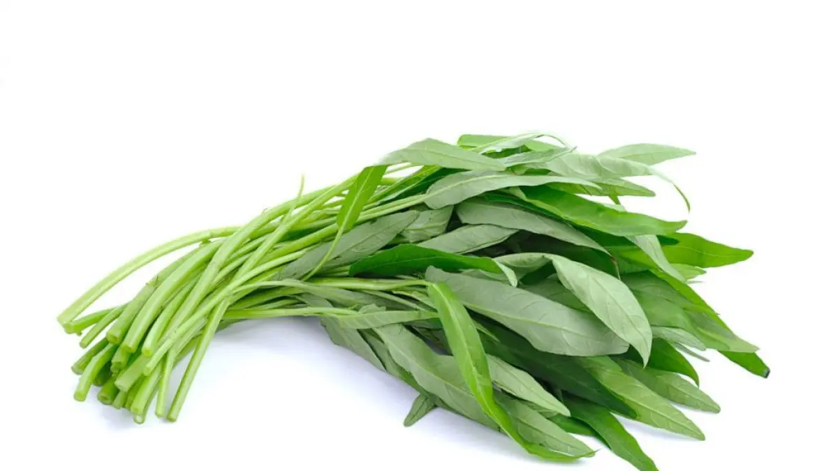 Benarkah kangkung bisa buat ngantuk?