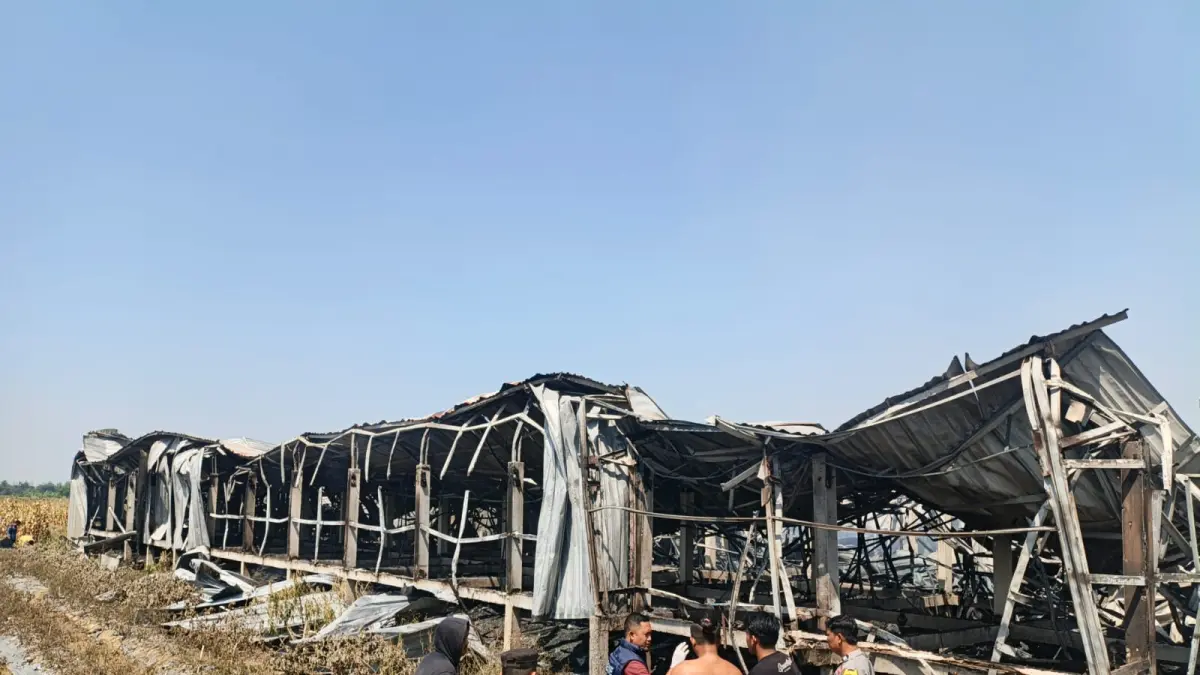 TERBAKAR: Kandang ayam di Desa Tajemsari Kecamatan Tegowanu ludes terbakar.