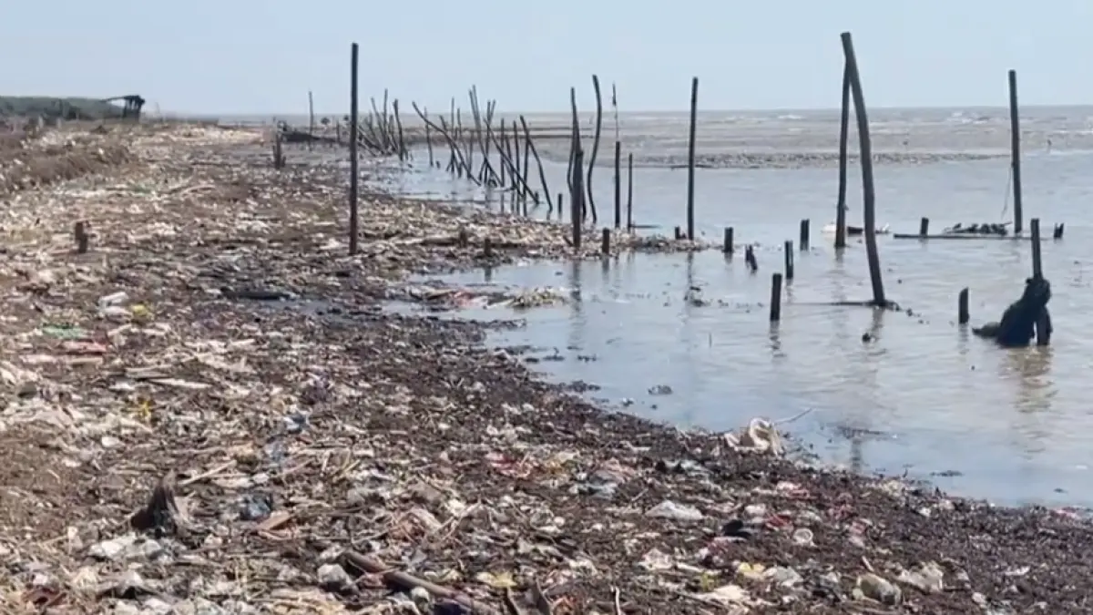 Penampakan Pantai Lestari Pati Berubah Kumuh Akibat Sampah Rumah Tangga dan Limbah Pabrik. (Tangkapan layar youtube tvnem)