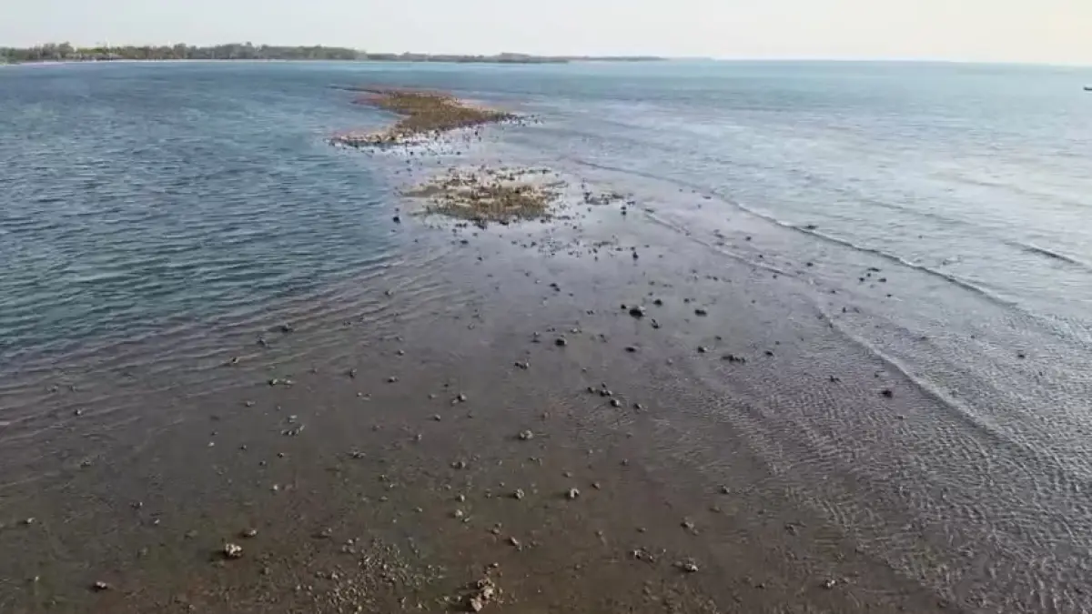 TERCEMAR: Kondisi ekosistem di Perairan Mororejo Jepara tak jauh dari Pulau Panjang yang diduga rusak akibat tumpahan batu bara.&nbsp;(FIKRI THOHARUDIN/RADAR KUDUS)