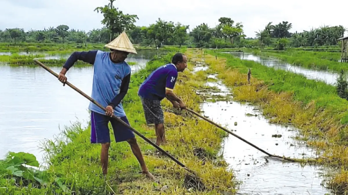 JADI PERHATIAN : Kondisi sungai yang diduga tercemar oleh limbah ketela. (ACHMAD ULIL ALBAB/RADAR KUDUS)