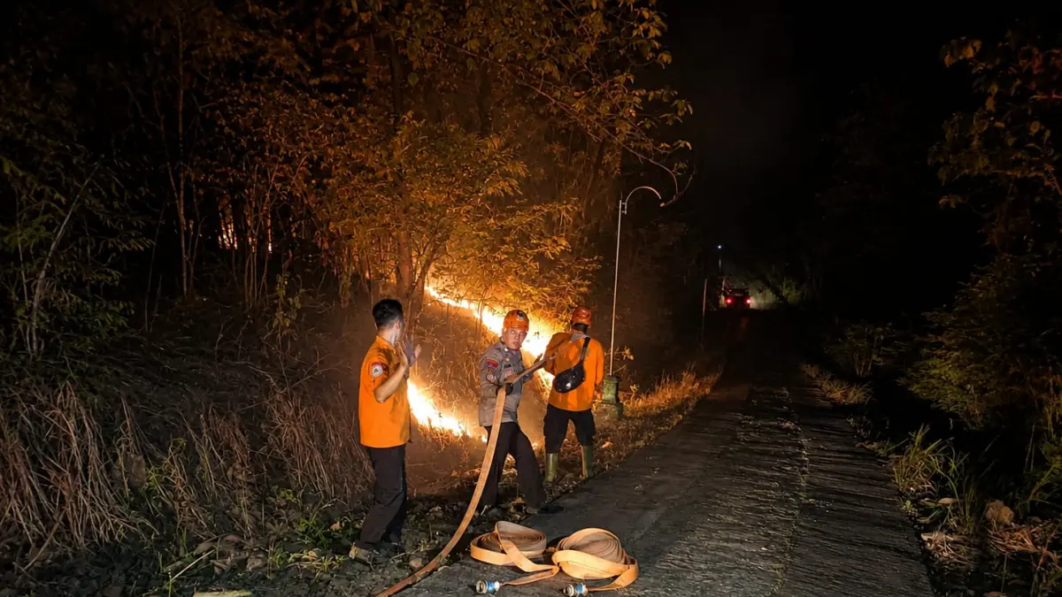 KARHUTLA: BPBD Grobogan saat memadamkan kebakaran hutan dan lahan di wilayah Kabupaten Grobogan.