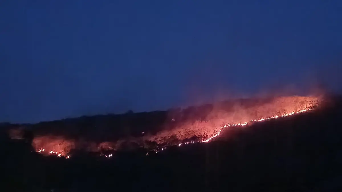 ALI MAHMUDI/RADAR KUDUS

SULIT DIJINAKAN: Api membakar lahan kebun jati&nbsp; di Pegunungan Bugel Pancur Kamis petang (30/7).