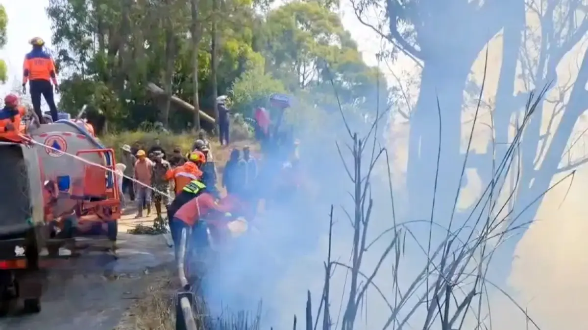 Petugas gabungan berjibaku memadamkan karhutla di kawasan Gunung Bromo, Kamis (6/8). (Dokumentasi BPBD Jatim)