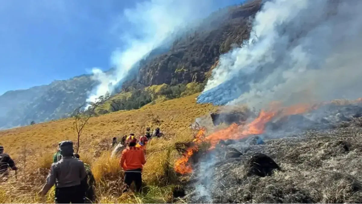 Petugas gabungan berjibaku memadamkan karhutla di kawasan Gunung Bromo, Kamis (6/8). (Dokumentasi BPBD Probolinggo)