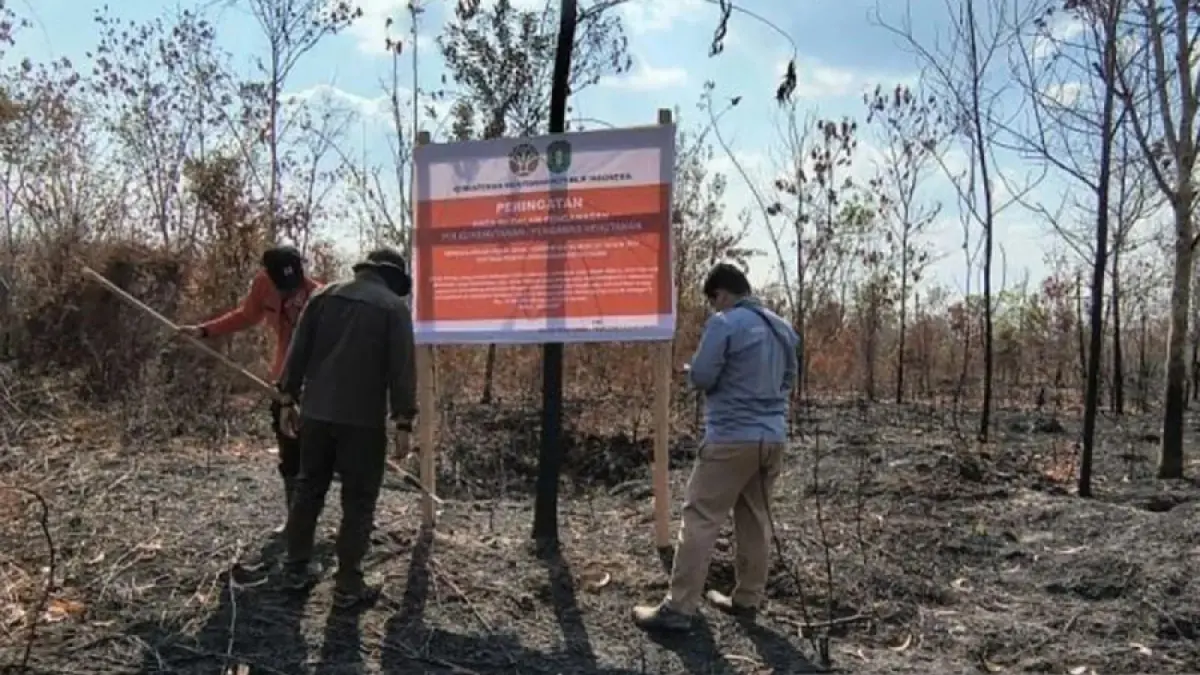 Petugas Kemenhut memasang papan pengawasan salah satu perusahaan yang dibekukan izinnya karena karhutla di areal kerjanya di Kalimantan Barat. ANTARA/HO-Kemenhut/pri.