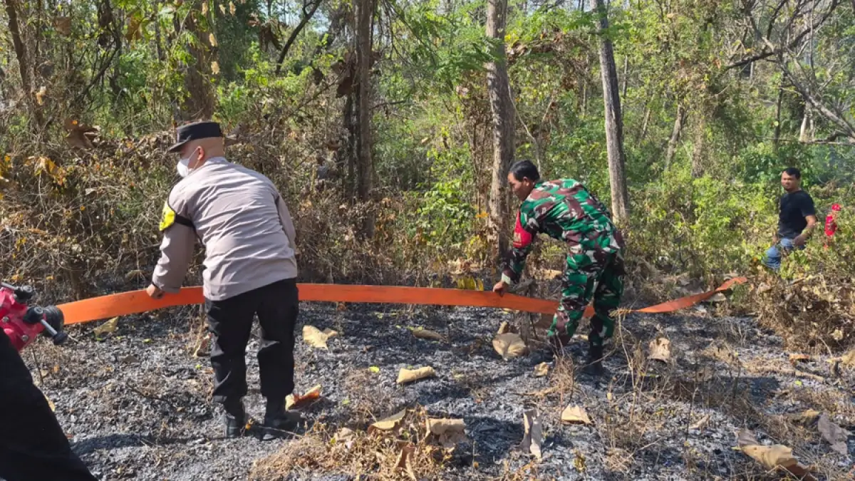 PADAMKAN API: Petugas dari BPBD Grobogan dan Polsek Kradenan memadamkan api di kawasan hutan di Desa Simo, Kecamatan Kradenan. (SIROJUL MUNIR/RADAR KUDUS)
