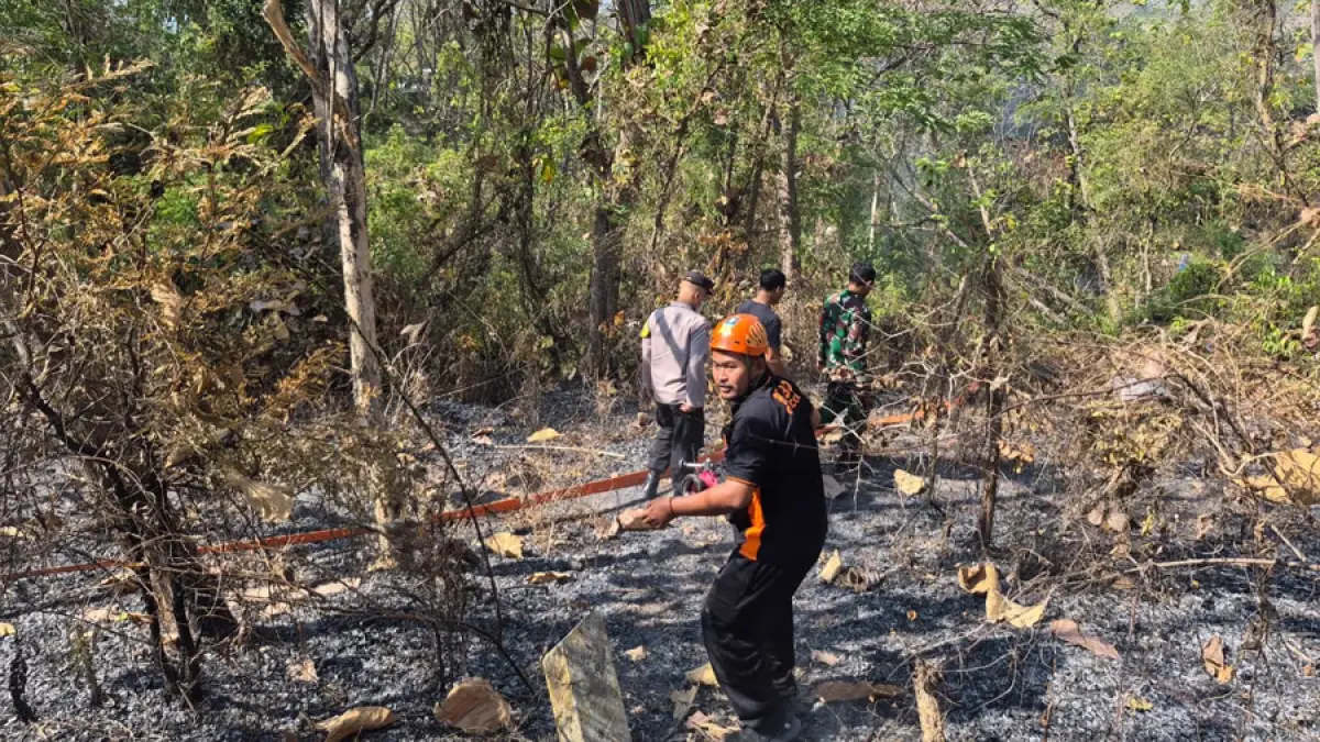 Petugas pemadam kebakaran berhasil memadamkan api di lahan Hutan Simo Kradenan.