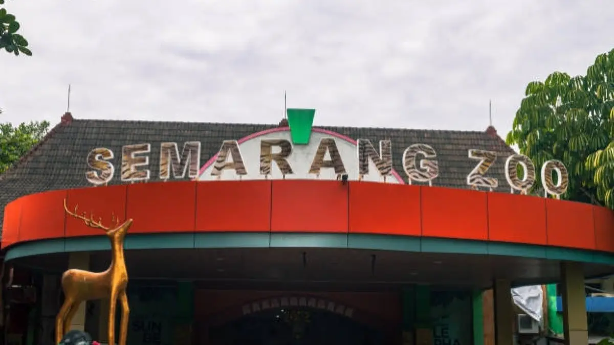 Semarang Zoo beri tiket promo untuk peserta MTQ Nasional XXXI 2026.