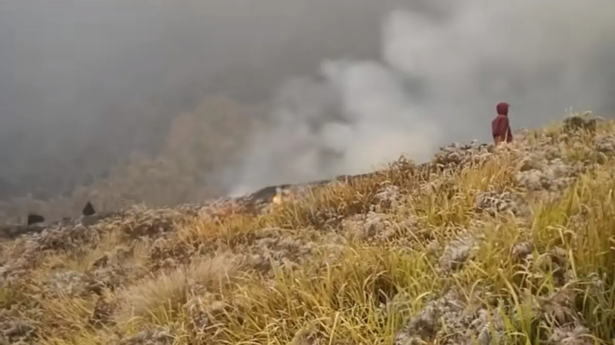 Kawasan Gunung Bromo ditutup total akibat kebakaran yang meluas (Foto: Tangkapan layar Tiktok)