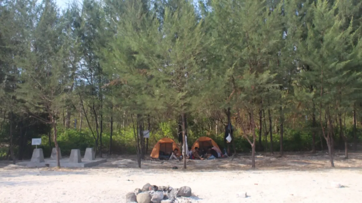 SYAHDU: Wisata Pulau Panjang Jepara menawarkan pasir putih, snorkeling dan hutan tropis. (M.KHOIRUL ANWAR)